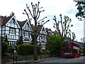 Houses in Muswell Hill Road