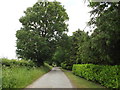 Brome Avenue, Langton Green, Eye