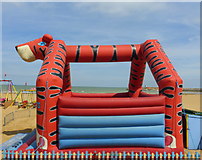 TR3570 : Bouncy tiger, Margate beach by pam fray