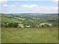 View towards Halscombe Woods