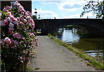 SU4996 : Abingdon Bridge crossing the River Thames by Mat Fascione