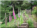 Gate on footpath