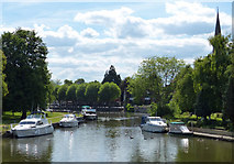 SU4996 : The River Thames at Abingdon-on-Thames by Mat Fascione