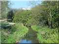 The River Lea (or Lee) near Frampton Street, SG14