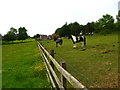 Fields beside Pen-dyffryn