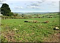 View south east from Kingbeare