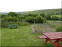 SE6999 : View from the tea room at Dale Head farm by Steve  Fareham