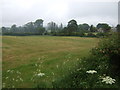 Grassland off Kingsley Road