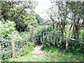 Gate on footpath near Arlington  Reservoir