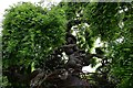 Birchington: Quex House and Gardens: Weeping Japanese Pagoda Tree