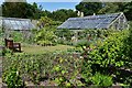 Birchington: Quex House and Gardens: The vegetable garden