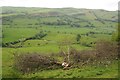 The Cledwen valley