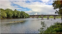 NY9464 : Hexham Bridge by Chris Morgan