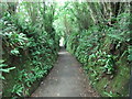 Footpath into Looe