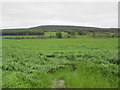 NH9048 : Arable land near Achamore by Jennifer Jones