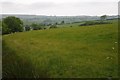 SH8962 : Farmland above Tyn-y-bryn by Philip Halling