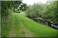 SH8964 : Track beside Afon Cledwen by Philip Halling