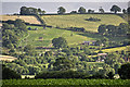 East Devon : Countryside Scenery