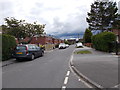 Mill Green Gardens - viewed from Mill Green Close