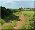 Farm track near the River Evenlode