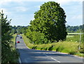 Road heading north to Long Hanborough