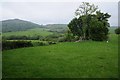 Farmland near Bryn-Ynyr