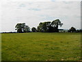 Farmland at Hillock