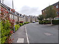 Blackthorn Drive - viewed from Cowrakes Close