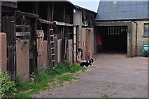 SS9101 : Mid Devon : Ratcliffe Farm by Lewis Clarke