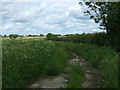 Farm track, Newtoft