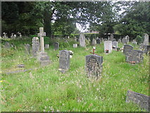 SU4714 : A lunchtime visit to West End Cemetery (vi) by Basher Eyre