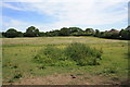 Proposed site for Cohousing development adjacent to Bridport Hospital