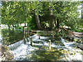 The weir at Kearsney Abbey