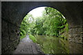 Peak Forest Canal