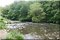 The River Tame in Haughton Dale