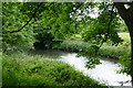 The River Tame in Haughton Dale