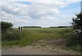 Field by Aston Bury Lane