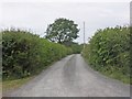 ST3864 : Dolecroft Lane by Roger Cornfoot