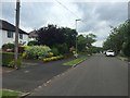 Newcastle-under-Lyme: Whitfield Avenue (west side)