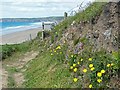SM8520 : The coast path overlooking Newgale Sands by Robin Drayton