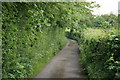 SD5480 : Puddlemire Lane, Farleton Fell by Mike Pennington