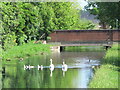 The New River south of Church Lane, EN8 (2)