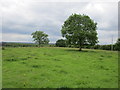 N0529 : Landscape near Carrowkeel by Jonathan Thacker