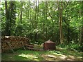 TQ3432 : Charcoal Burner, Pearcelands Wood by Simon Carey