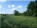 Footpath from Green Lane