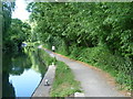 The Stort Navigation from Sheering Mill Lane