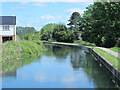 The New River by the Great Cambridge Road (A10) (2)