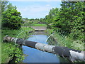 The New River between Cheshunt Reservoir (North) and Brookfield Lane West, EN8