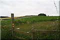 Path to Benniworth Walk Farm