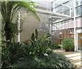 Savill Garden, Temperate House spiral staircase